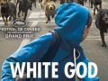 White God