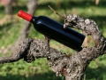 Le Pomerol... Le Pomerol...