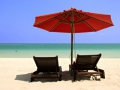 La concession de plage... La concession de plage...