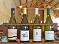 Les vins bio... Les vins bio...