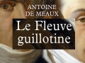 Le fleuve guillotine d'Antoine de Meaux... Le fleuve guillotine d'Antoine de Meaux...