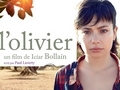 L'olivier... L'olivier...