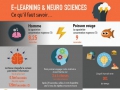Quel lien entre e-learning et neuro sciences ?... Quel lien entre e-learning et neuro sciences ?...