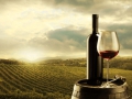 Le maury, le vin du chocolat... Le maury, le vin du chocolat...