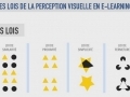 Perception visuelle et e-learning...