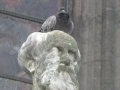 La cathédrale d'Amiens lutte contre les pigeons... La cathédrale d'Amiens lutte contre les pigeons...