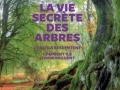 La vie secrète des arbres...