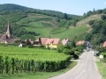 La route des vins d'Alsace...