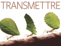 Transmettre... Transmettre...
