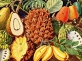 Les fruits... Les fruits...