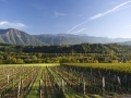Les vins de Savoie...