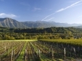 Les vins de Savoie... Les vins de Savoie...