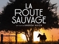 La route sauvage... La route sauvage...