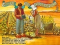 Le pineau des Charentes... Le pineau des Charentes...