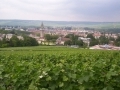 Epernay, une histoire vinicole... Epernay, une histoire vinicole...