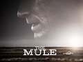 La mule... La mule...