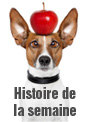 histoire