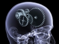Le cerveau : cet inconnu qui nous gouverne... Le cerveau : cet inconnu qui nous gouverne...