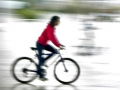 Les cyclistes... Les cyclistes...