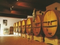 La vinification : les différentes étapes La vinification : les différentes étapes