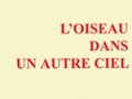 « L'oiseau dans un autre ciel », un roman intimiste, cocasse et profond de G.M. Baur... « L'oiseau dans un autre ciel », un roman intimiste, cocasse et profond de G.M. Baur...