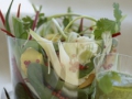 Salade de fenouil... Salade de fenouil...