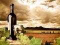 Les vins du Nouveau Monde... Les vins du Nouveau Monde...