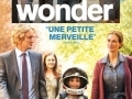 Wonder... Wonder...