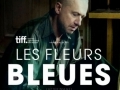 Les fleurs bleues...