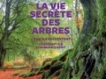 La vie secrète des arbres...