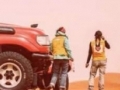 Le rallye des gazelles... Le rallye des gazelles...