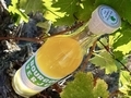 Le verjus de chez Bourgoin... Le verjus de chez Bourgoin...