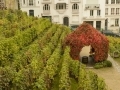 Vigne de Montmartre...