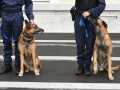 La sécurité privée en France...