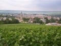 Epernay, une histoire vinicole...