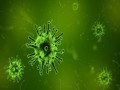 Coronavirus et paiement des loyers...