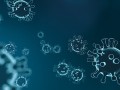 Coronavirus : tensions sur les pièces automobiles...