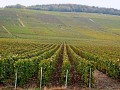 Vignoble de Champagne, en savoir plus...