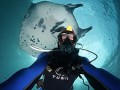 La photographie sous-marine, en savoir plus...