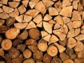 L'industrie du bois, en savoir plus...